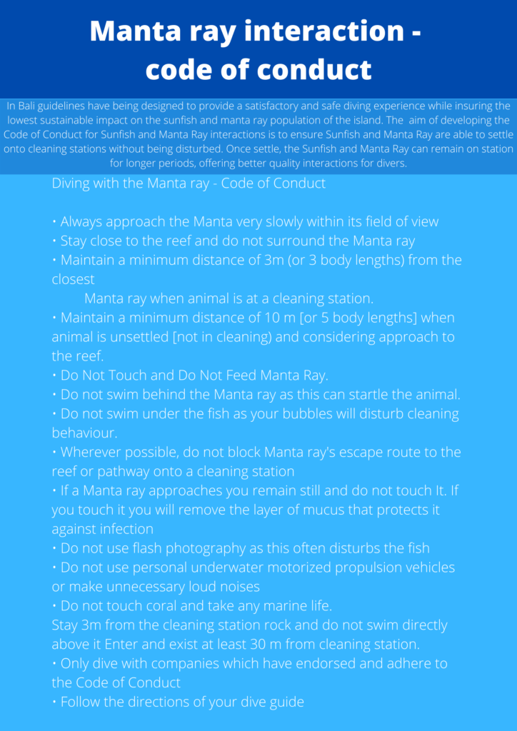 manta-ray-iteration-code-of-conduct