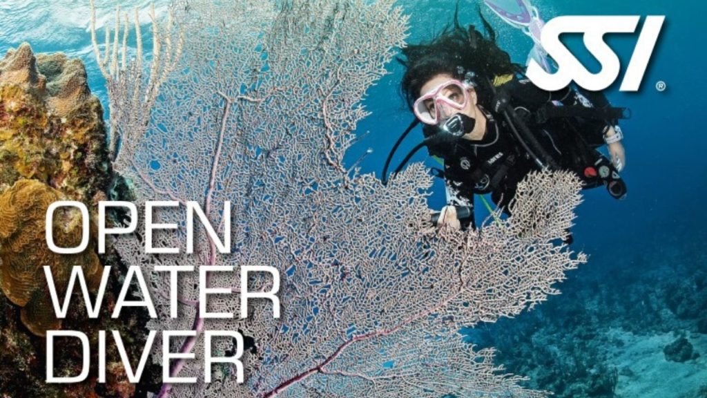 Open Water Diver Bali