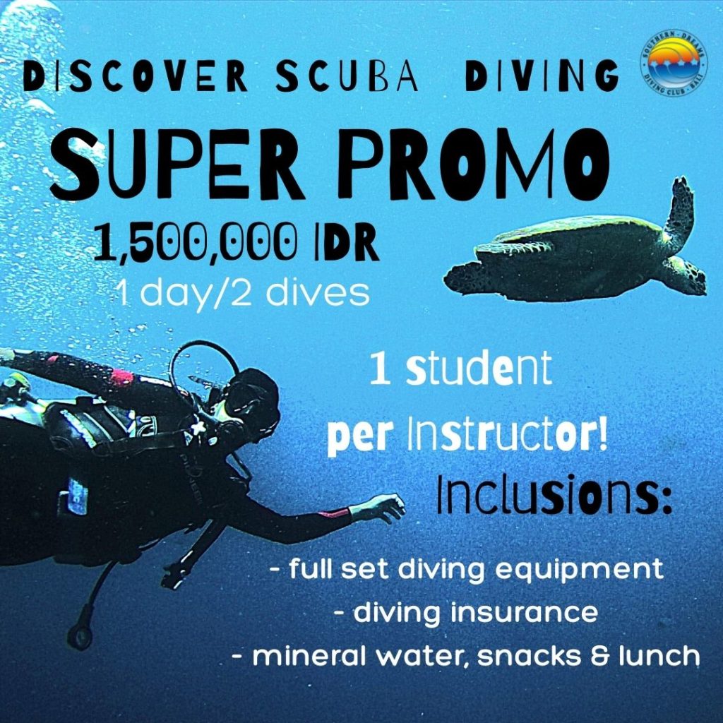 Bali-diving-promo