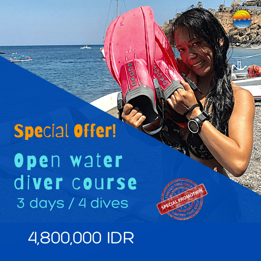 special-offer-diving-bali