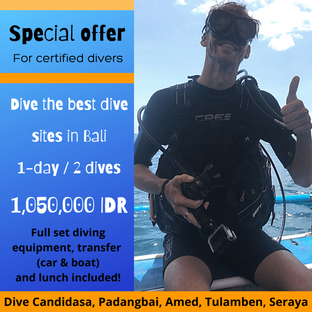 promo-diving-bali