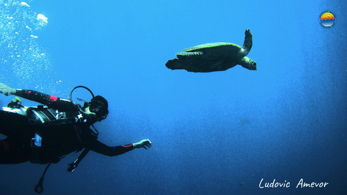 Discover-Scuba-Diving-in-Bali